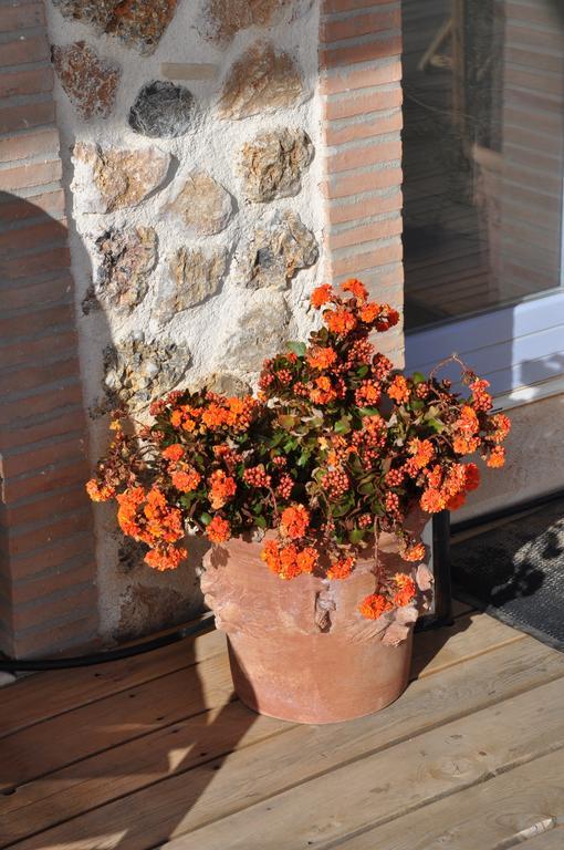Montecristo Country House Manciano Exterior foto