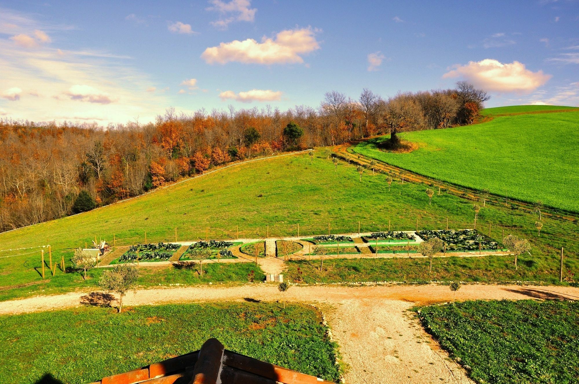 Montecristo Country House Manciano Exterior foto